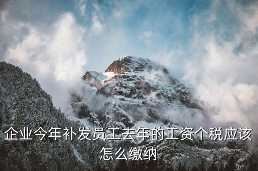 補發(fā)一年工資如何算稅，補發(fā)員工以前年度工資如何繳納個稅
