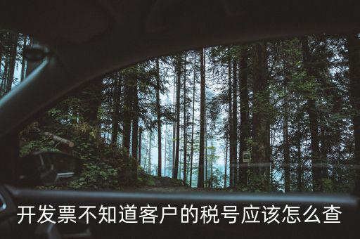 開發(fā)票不知道客戶的稅號(hào)應(yīng)該怎么查