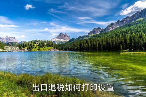 如何打印出口退稅備案表，出口退稅系統(tǒng)內(nèi)的增值稅申報表如何打印