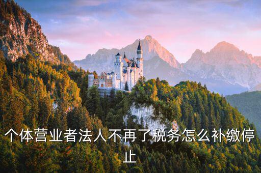 個(gè)體戶如何補(bǔ)交固定稅，個(gè)體戶地稅怎么補(bǔ)交未進(jìn)行地稅申報(bào)現(xiàn)補(bǔ)交稅款還要被罰款三倍嗎