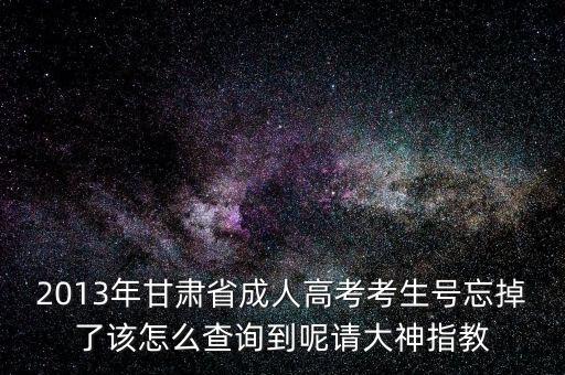 甘肅省如何查號(hào)，2013年甘肅省成人高考考生號(hào)忘掉了該怎么查詢到呢請(qǐng)大神指教