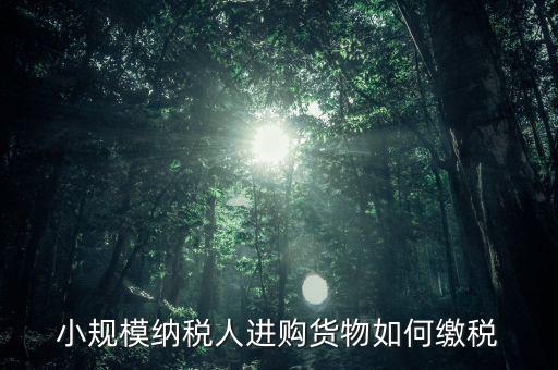 小規(guī)模納稅人如何交稅，小規(guī)模納稅人進購貨物如何繳稅