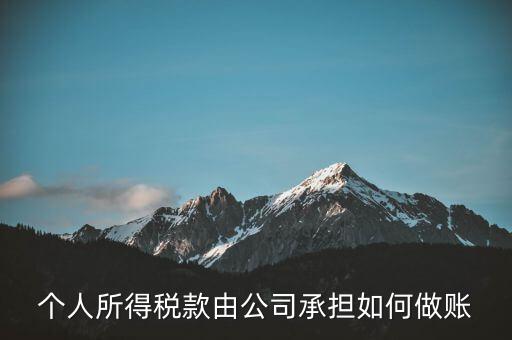 個稅公司承擔(dān) 如何報銷，個人所得稅款由公司承擔(dān)如何做賬