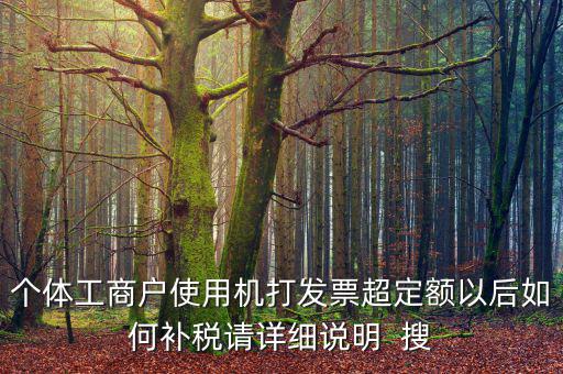 個(gè)體工商戶使用機(jī)打發(fā)票超定額以后如何補(bǔ)稅請?jiān)敿?xì)說明  搜