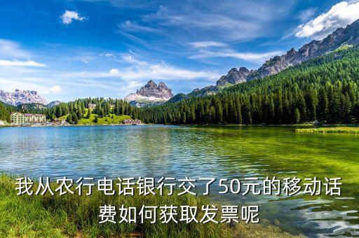 湖北移動電子發(fā)票如何獲取，中國移動手機帳單電子發(fā)票怎么樣下載