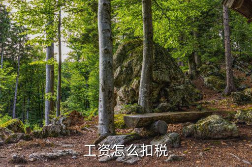 工資如何繳稅，工資納稅怎么交法