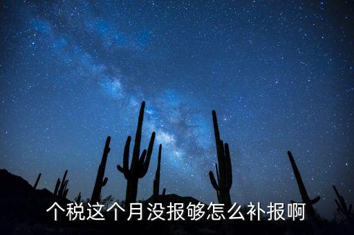 如何補報個人所得稅，個人所得稅報錯了怎么補報