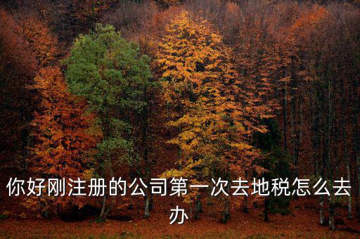 新辦企業(yè)如何辦地稅，新辦企業(yè)去地稅報道需要帶什么手續(xù)