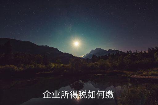 企業(yè)所得稅如何繳稅，企業(yè)所得稅如何繳納