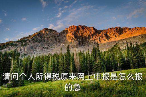 個人所得稅如何網(wǎng)上申報，個人所得稅網(wǎng)上申報流程