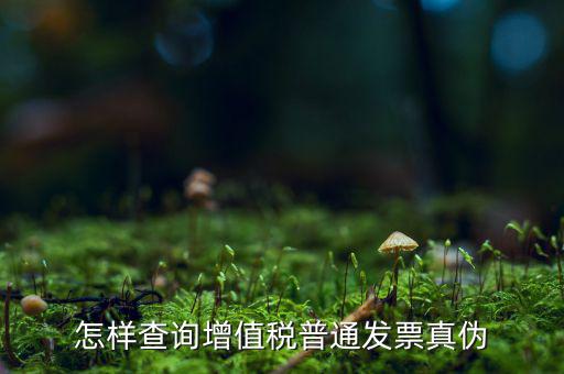 稅務(wù)局如何查發(fā)票真假，如何查稅務(wù)發(fā)票真假