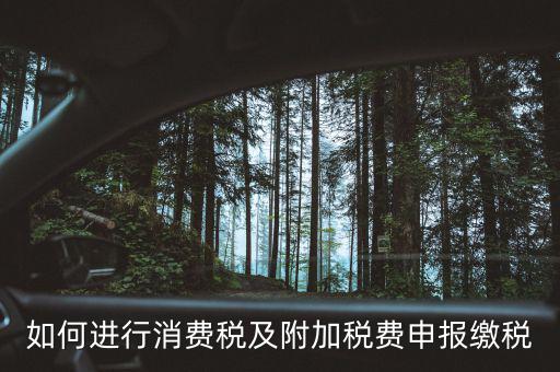 附加稅如何才能申報(bào)，如何進(jìn)行消費(fèi)稅及附加稅費(fèi)申報(bào)繳稅