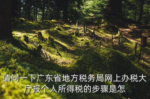 廣州地稅如何網(wǎng)上申報(bào)，想請(qǐng)教如何辦理廣州地稅網(wǎng)上申報(bào)