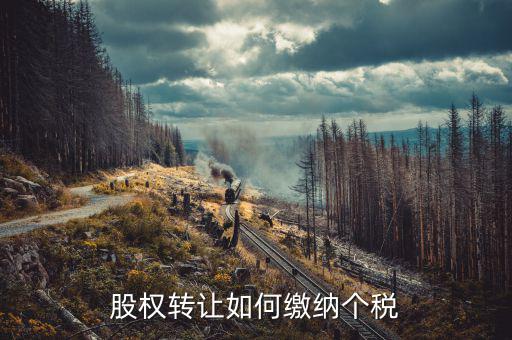 股權(quán)轉(zhuǎn)讓如何交稅，股權(quán)轉(zhuǎn)讓如何繳納個(gè)稅