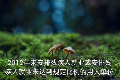 殘保金如何計(jì)算，2012年未安排殘疾人就業(yè)或安排殘疾人就業(yè)未達(dá)到規(guī)定比例的用人單位