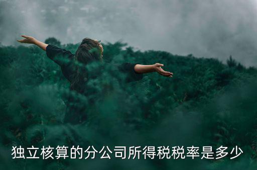 獨(dú)立核算的分公司如何納稅，誰(shuí)知道獨(dú)立核算的同城分公司如何繳稅