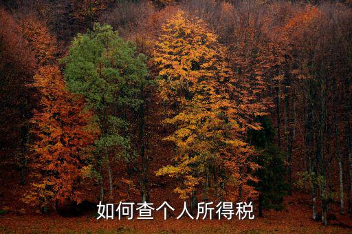 如何查詢個人所得稅，個人所得稅查詢