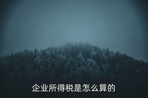 公司所得稅如何計算，企業(yè)所得稅該怎么計算