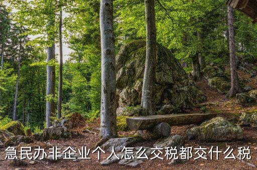 民非企業(yè)如何納稅申報(bào)，民辦非企業(yè)單位如何繳納個(gè)人所得稅