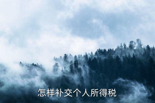 如何補(bǔ)交個(gè)人所得稅，如何用個(gè)人所得稅扣繳系統(tǒng)補(bǔ)繳稅款