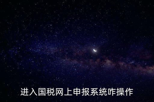 進(jìn)入國稅網(wǎng)上申報(bào)系統(tǒng)咋操作