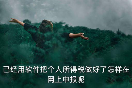 已經(jīng)用軟件把個人所得稅做好了怎樣在網(wǎng)上申報呢
