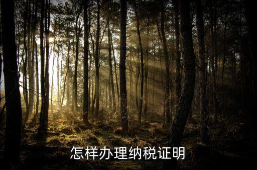 廈門如何做假的納稅證明，怎樣辦理納稅證明
