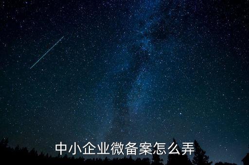 小型微型企業(yè)如何備案，小型微型企業(yè)登記備案