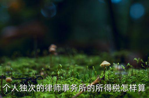 個人獨次的律師事務(wù)所的所得稅怎樣算