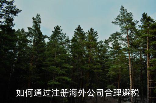 在境外注冊(cè)子公司如何避所得稅，離岸公司如何避個(gè)稅