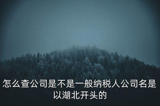 如何查詢企業(yè)是否是一般納稅人，怎么查公司是不是一般納稅人公司名是以湖北開(kāi)頭的