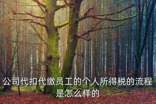 如何代扣代繳個人所得稅，代扣代繳個人所得稅