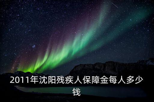 2011年沈陽(yáng)殘疾人保障金每人多少錢(qián)
