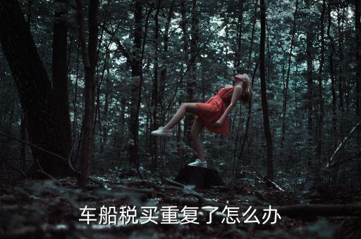 車船稅買(mǎi)重復(fù)了怎么辦