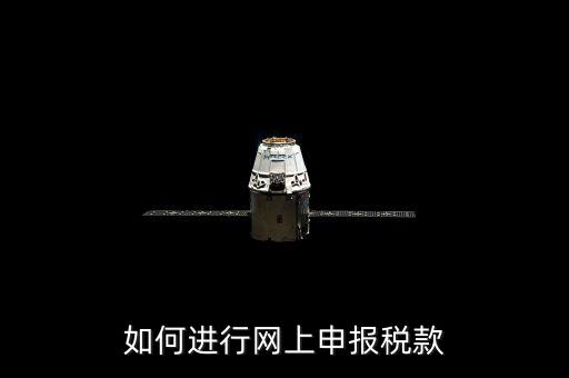 如何進行網上申報稅款