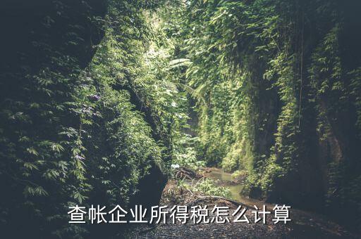 企業(yè)所得稅如何查賬，企業(yè)所得稅計算 查賬法