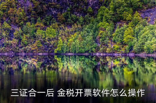 三證合一如何開票系統(tǒng)，怎么給三證合一的企業(yè)開增值稅發(fā)票