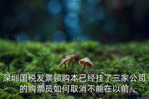 如何取消稅務局購票人，國稅如何刪除購票人