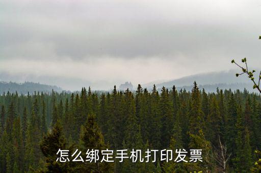 百旺電子發(fā)票如何綁定終端，尚未配備電子發(fā)票終端怎么處理