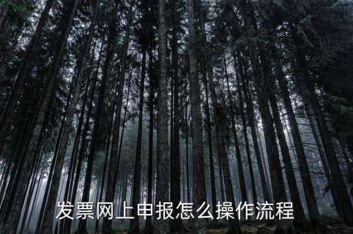 如何國(guó)稅局網(wǎng)上申請(qǐng)開(kāi)票，如何登錄稅務(wù)網(wǎng)上開(kāi)票