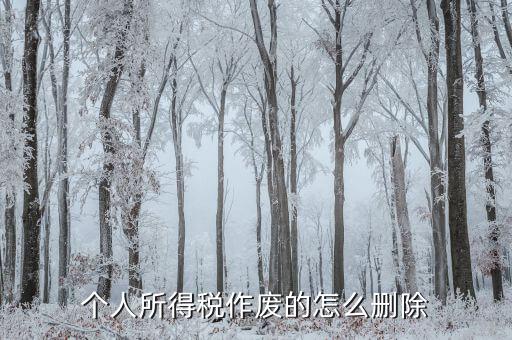 如何刪除已審核的地稅報表，已遞上的地稅網(wǎng)上財務報表系統(tǒng)的報表能否刪除