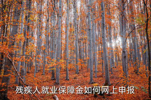 安徽殘疾人保障金如何網上申報，殘疾人就業(yè)保障金如何網上申報