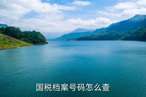 如何查地稅檔案，國稅檔案號碼怎么查