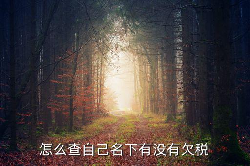 如何查欠稅記錄，怎么查個(gè)人有沒(méi)有欠稅