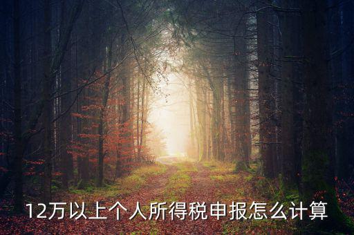 12萬個人申報如何計算，如何計算12萬元個人所得稅申報表