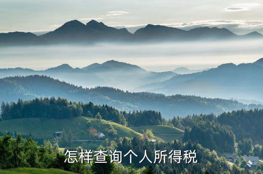 個人所得稅如何查詢 河南，怎么查詢個人所得稅