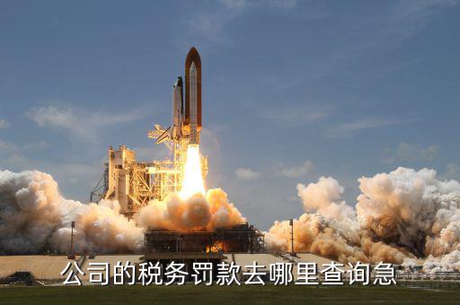 如何查稅收罰款，公司的稅務(wù)罰款去哪里查詢急