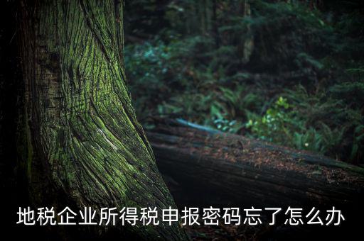 南京地稅密碼如何重置，個(gè)人所得稅忘記密碼之后如何進(jìn)行重置呢