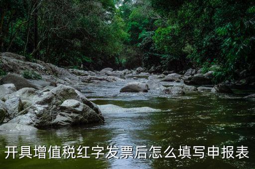開(kāi)具增值稅紅字發(fā)票后怎么填寫申報(bào)表