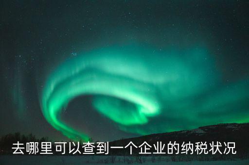 企業(yè)在哪納稅如何查，去哪里可以查到一個(gè)企業(yè)的納稅狀況